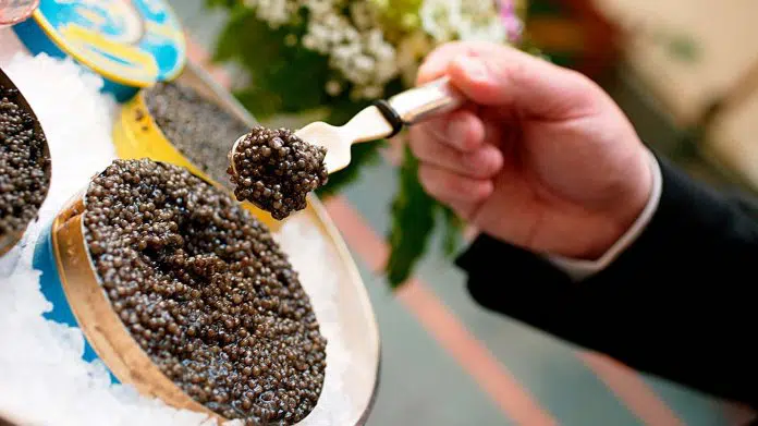 Eating Caviar