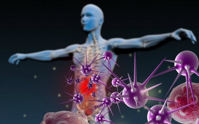 What Is The Immune System?