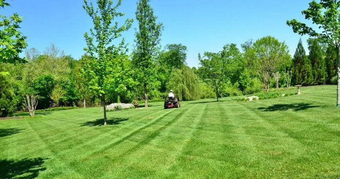 Efficient Mowing Techniques For Better Looking Lawns