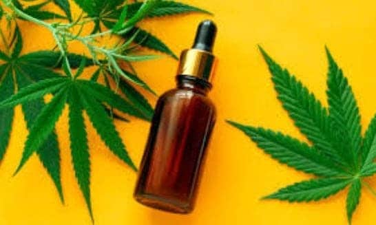 Answering Your CBD Questions