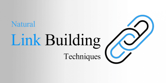 Link Building newscase.com