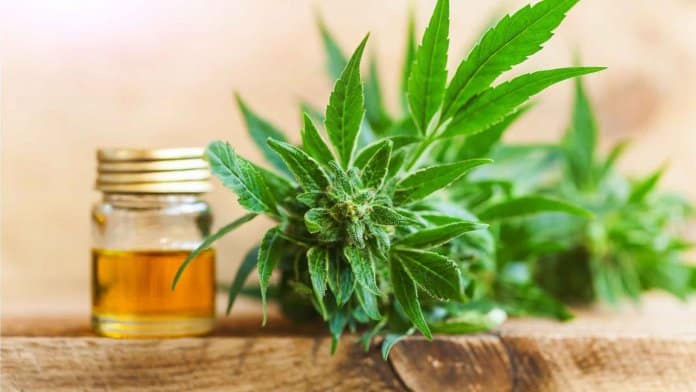Treating anxiety with CBD oil