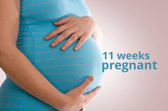 Eleventh week pregnancy