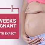 twelfth week pregnancy