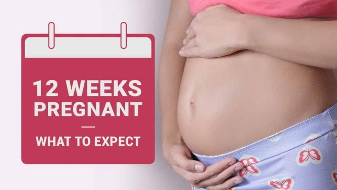 twelfth week pregnancy