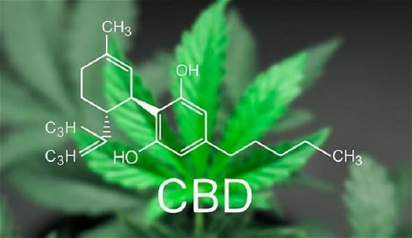 Effects of CBD for anxiety