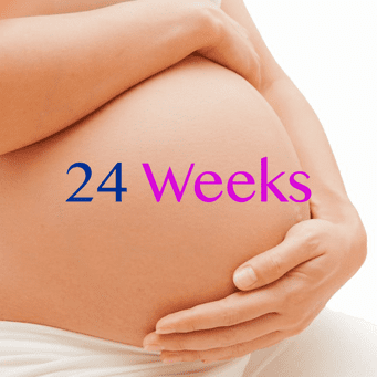 24 weeks of pregnancy