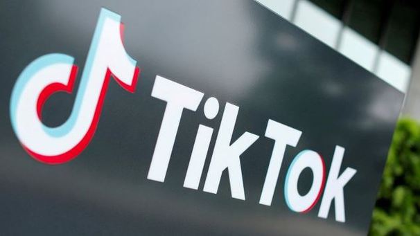 What are TikTok influencers and why are they needed for business promotion