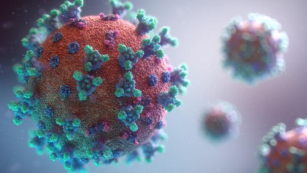 Herpesyl Reviews – Does Herpesyl Supplement Eliminate Herpes Virus? Truth Revealed