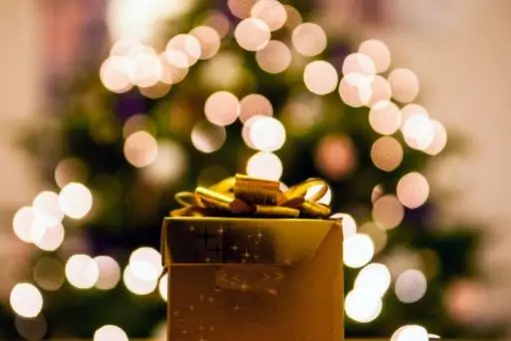 Top 6 Christmas Gift Ideas to Delight Your Loved Ones on 2012 Christmas