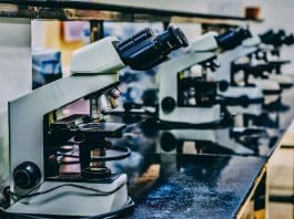 Biological Education in the United Kingdom Explained