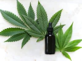 How to Shop for CBD Products Online A Beginners Guide