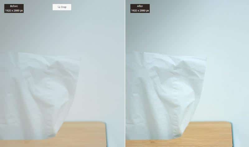 Performance of VanceAI Image Sharpener 2