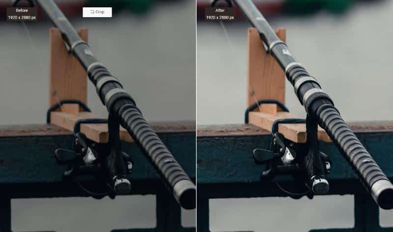 Performance of VanceAI Image Sharpener 3