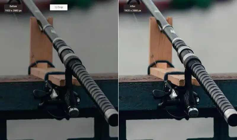 Performance of VanceAI Image Sharpener 3