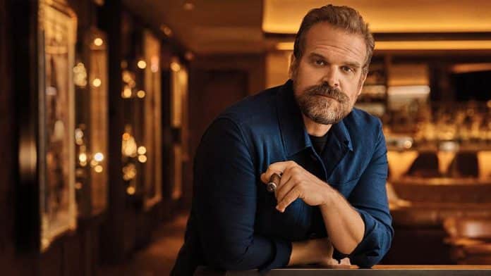 David Harbour Net Worth