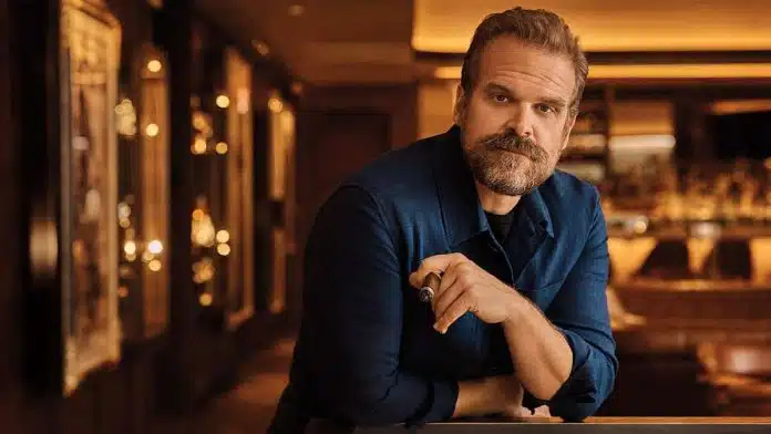 David Harbour Net Worth