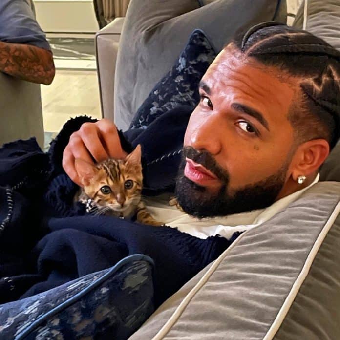 Drake has announced a North American concert with 21 Savage for 2023