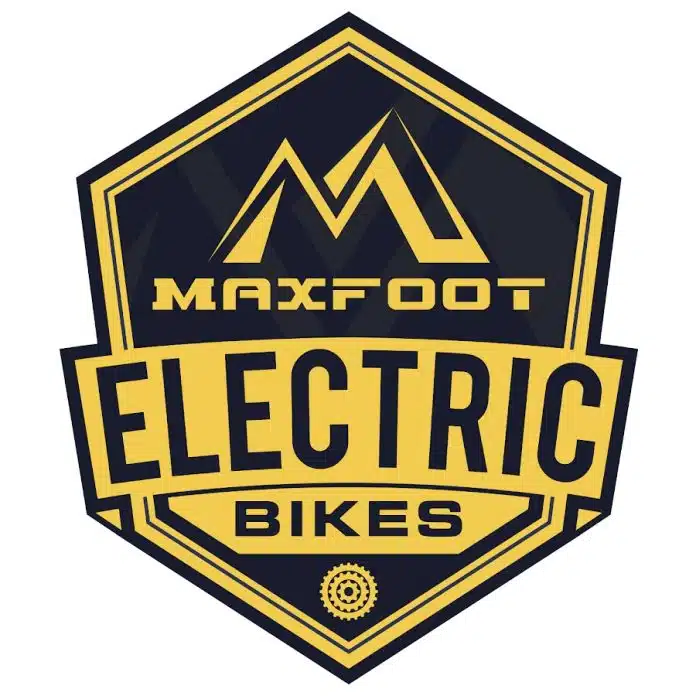Electric Bike or Electric Trike Which is a Better Option