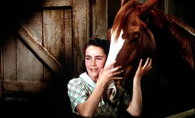 5 National Velvet