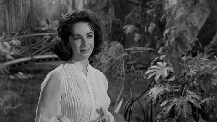 8 Suddenly Last Summer