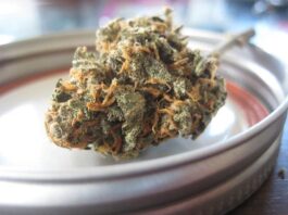 How to Choose the Right THC Products