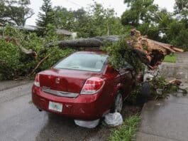Car Accident Lawyers and Single-Vehicle Crashes