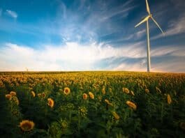 Sustainability in Heart Carbon Accounting Important for 2023