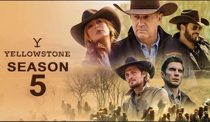 'Yellowstone' Season 5: What You Need to Know