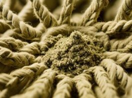 How Hemp is Used to Make a Range of Products