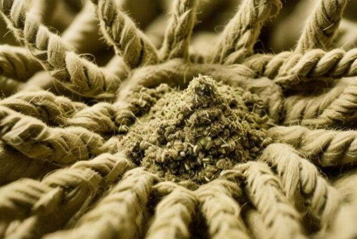 How Hemp is Used to Make a Range of Products