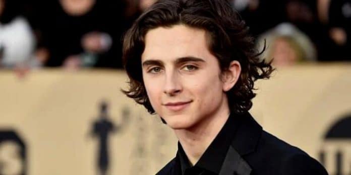 Timothee Chalamet's Net Worth