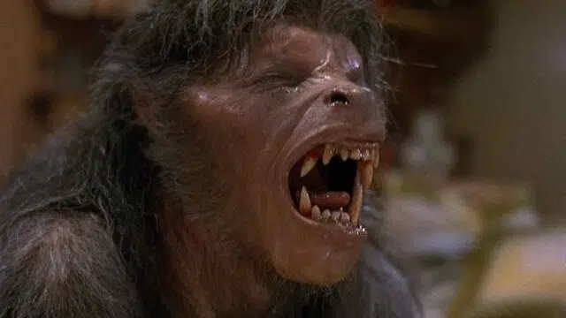 american werewolf london e1585840708232