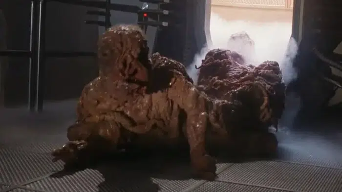 the fly