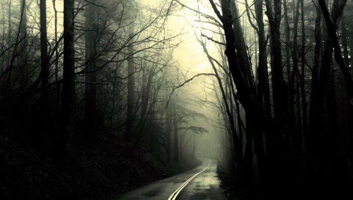 Annies Road 2025