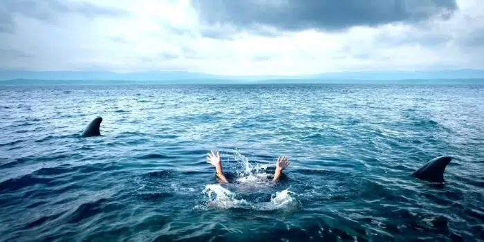 Open Water