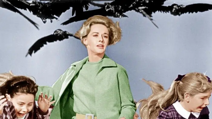 The Birds horror movie