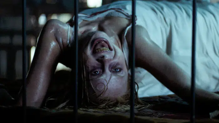 The Possession