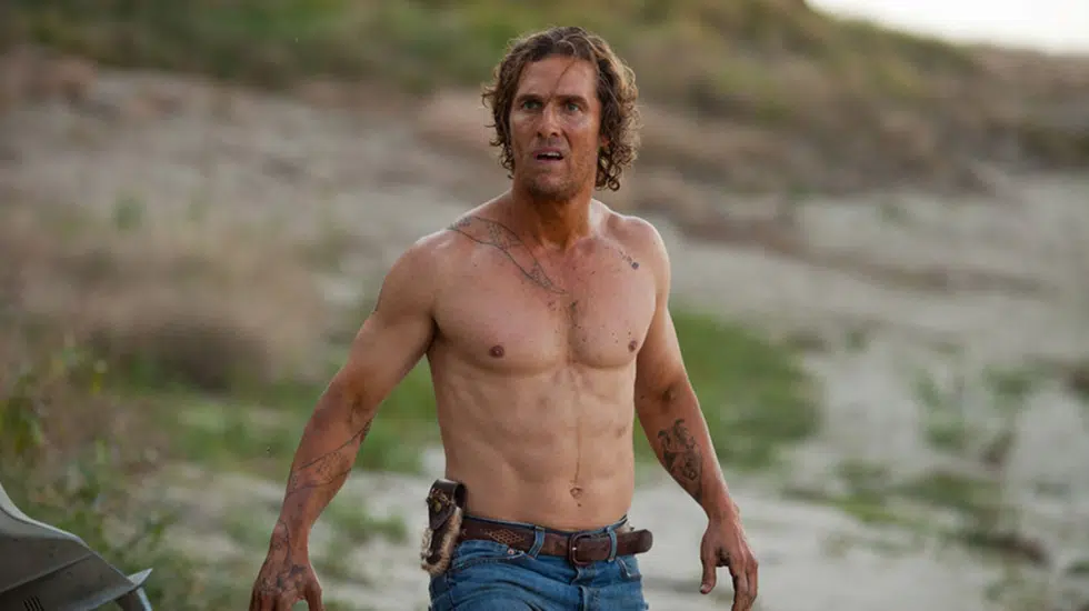 Matthew McConaughey as Mud