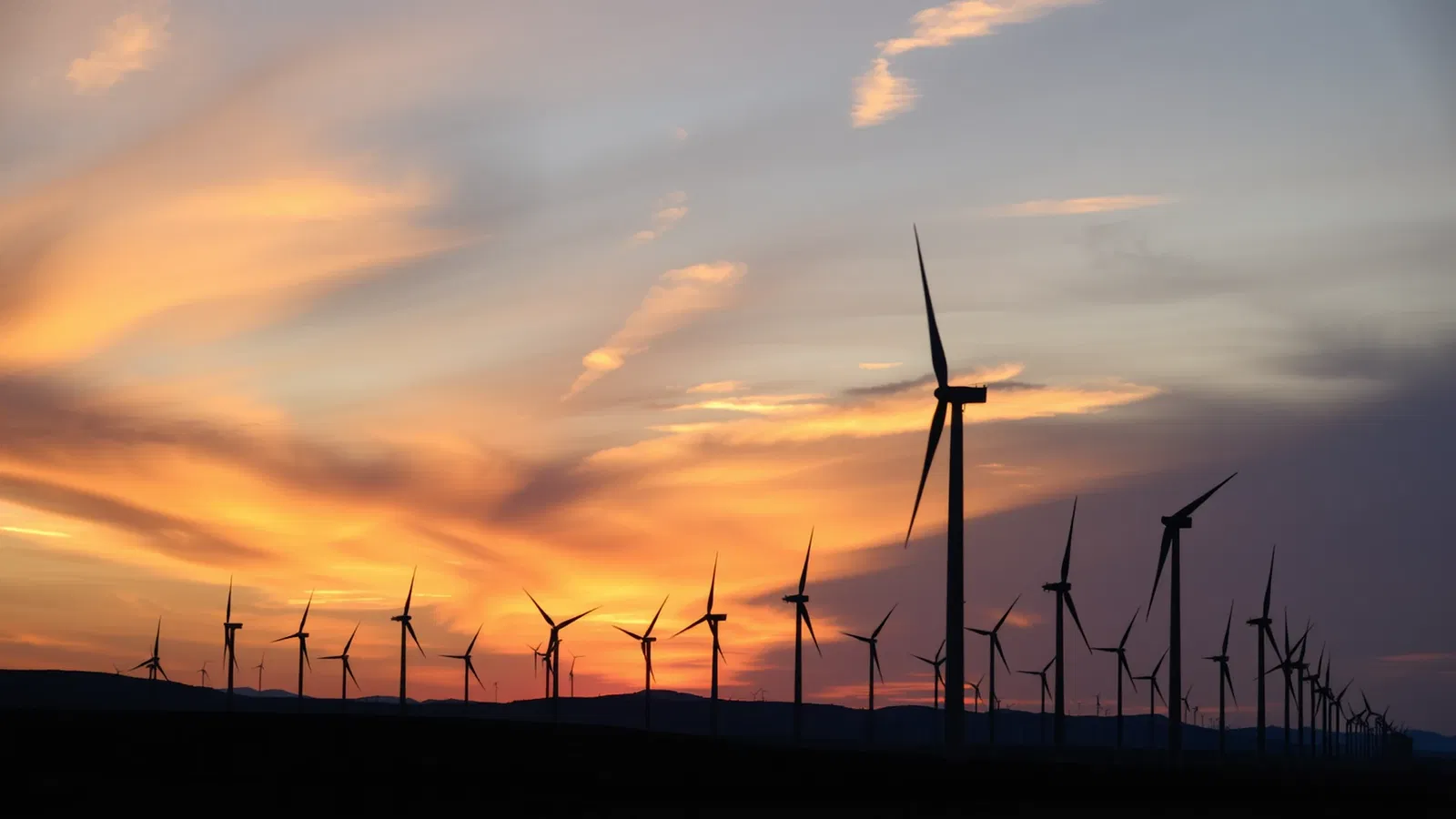 District Metals Stock