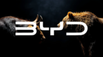 BYD Stock