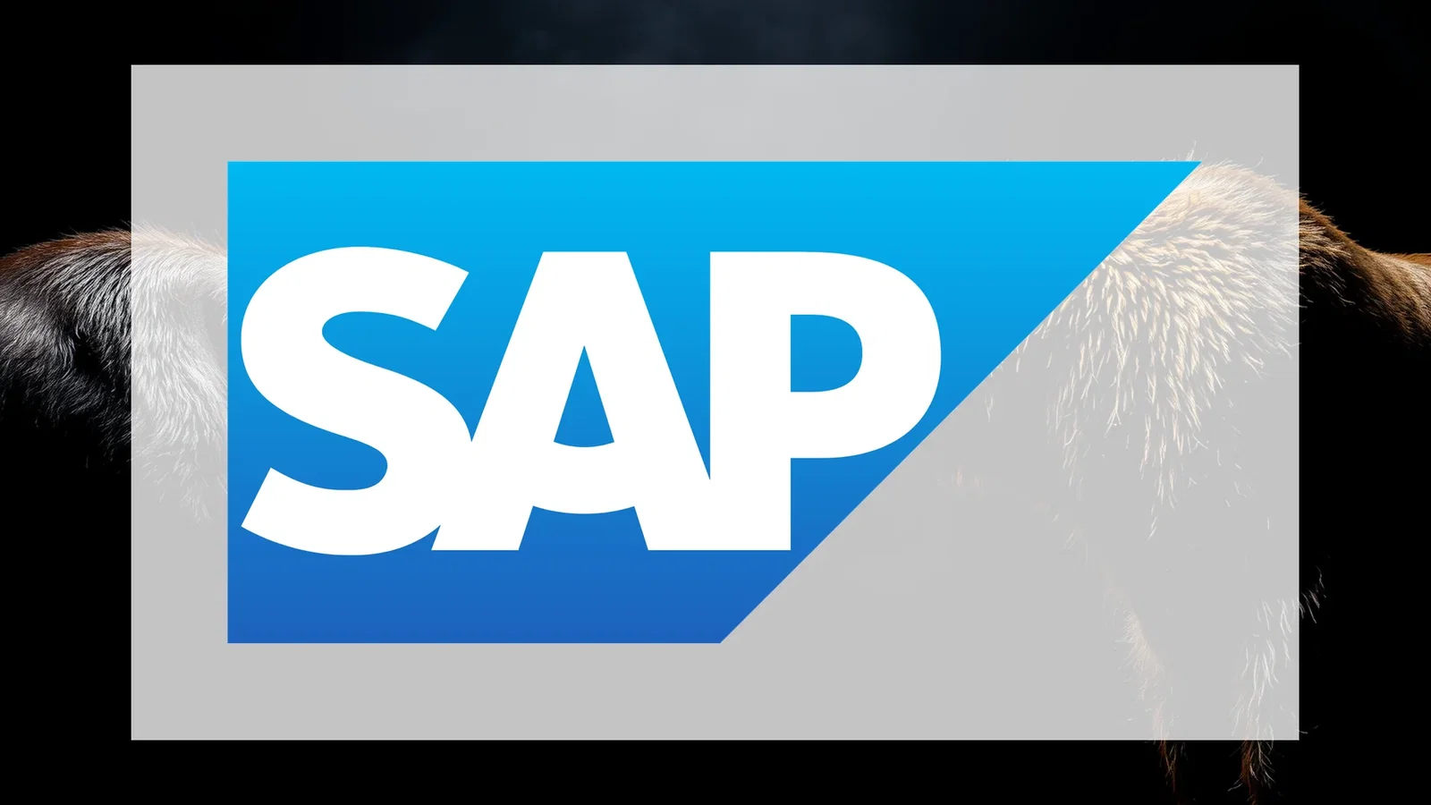 SAP Stock