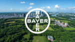 Bayer Stock