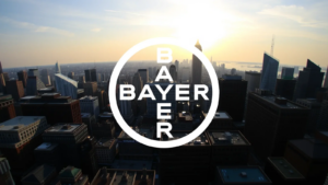 Bayer Stock