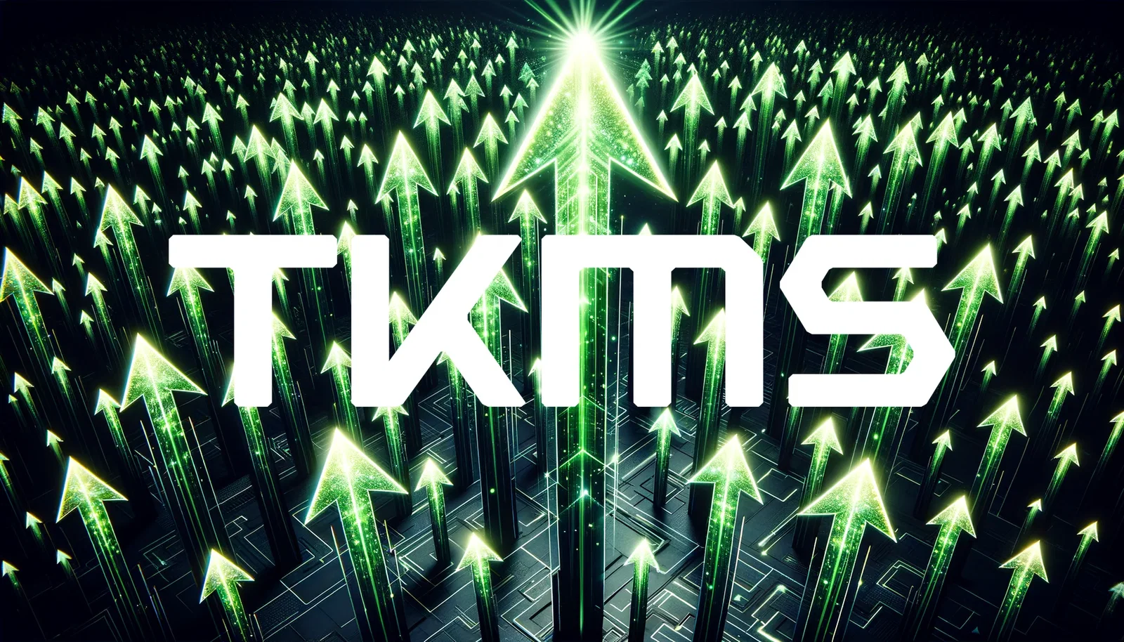 TKMS Stock