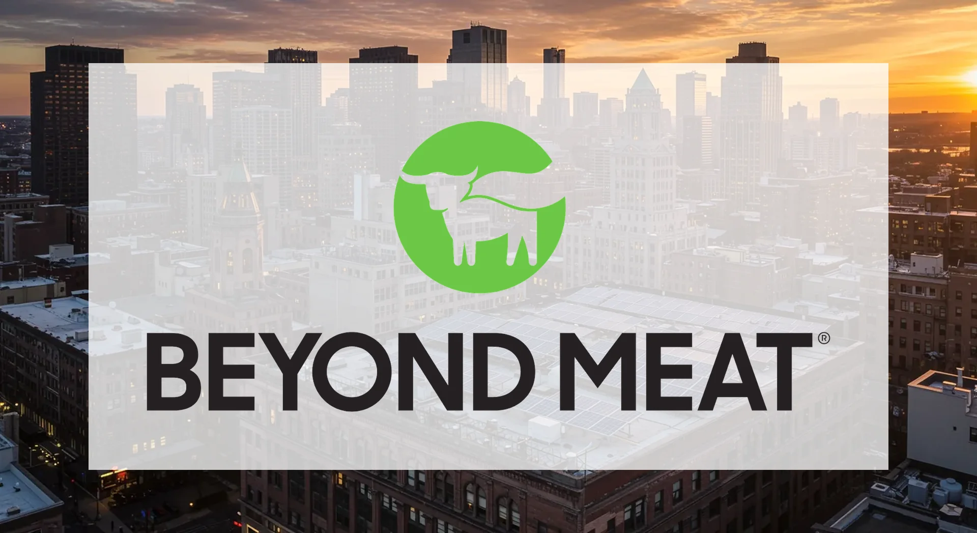 Beyond Meat Stock