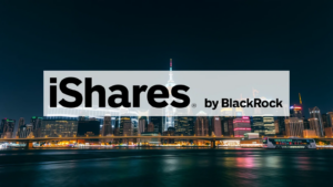 MSCI World ETF Stock