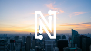 Netlist Stock