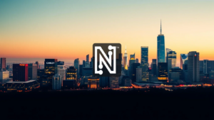 Netlist Stock