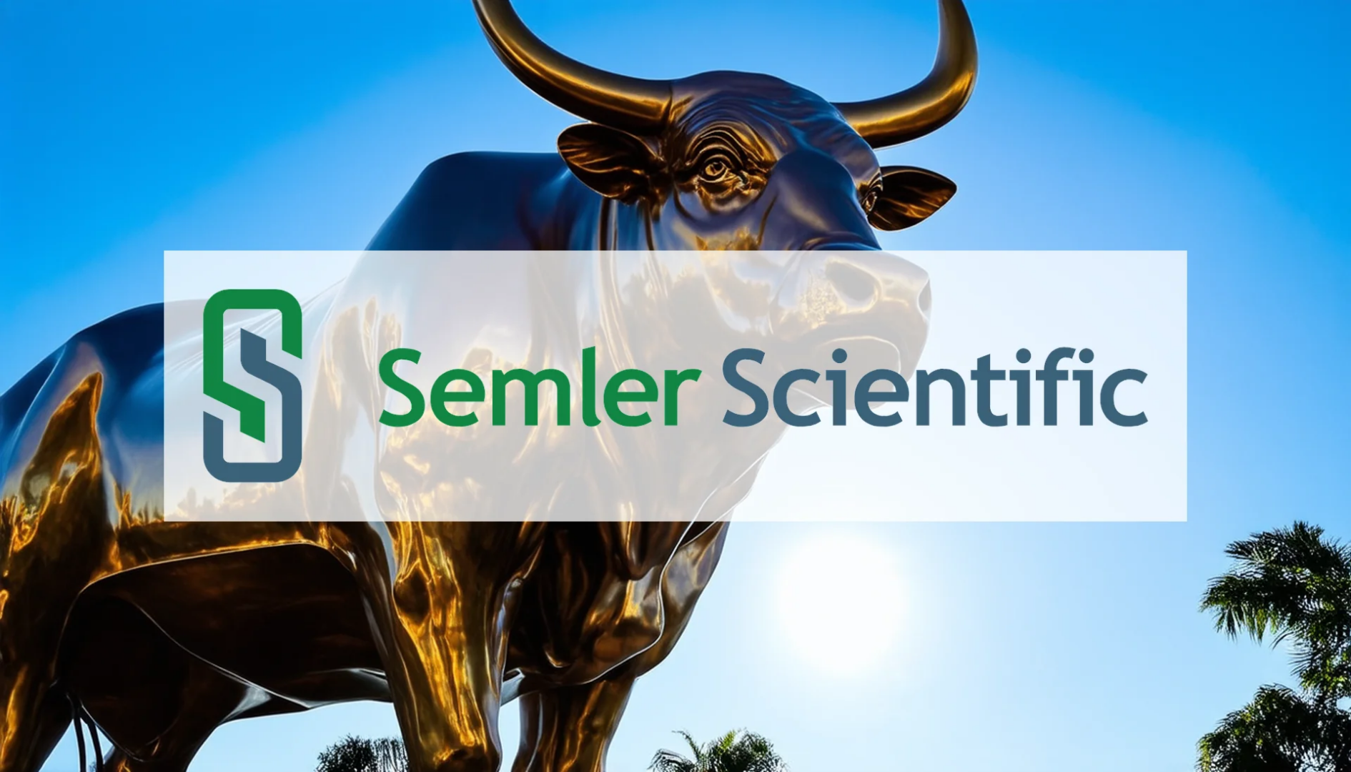 Semler Scientific Stock
